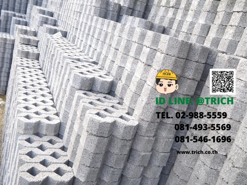 บล็อกตัวหนอน